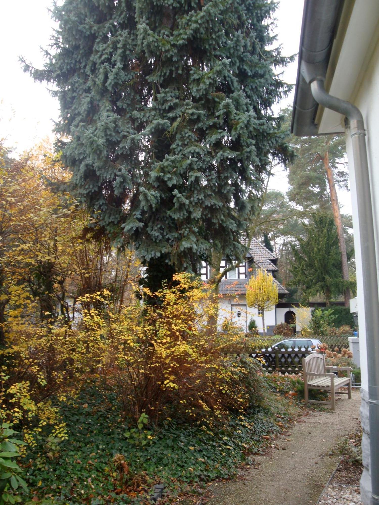 Hotel Landhaus Schlachtensee Берлін Екстер'єр фото